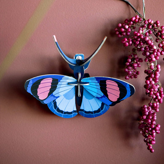 Peacock Butterfly