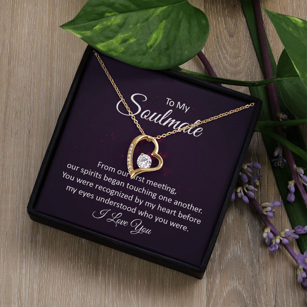 Forever Love Necklace for Soulmate