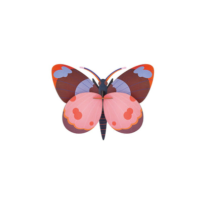 Bellissima Butterfly