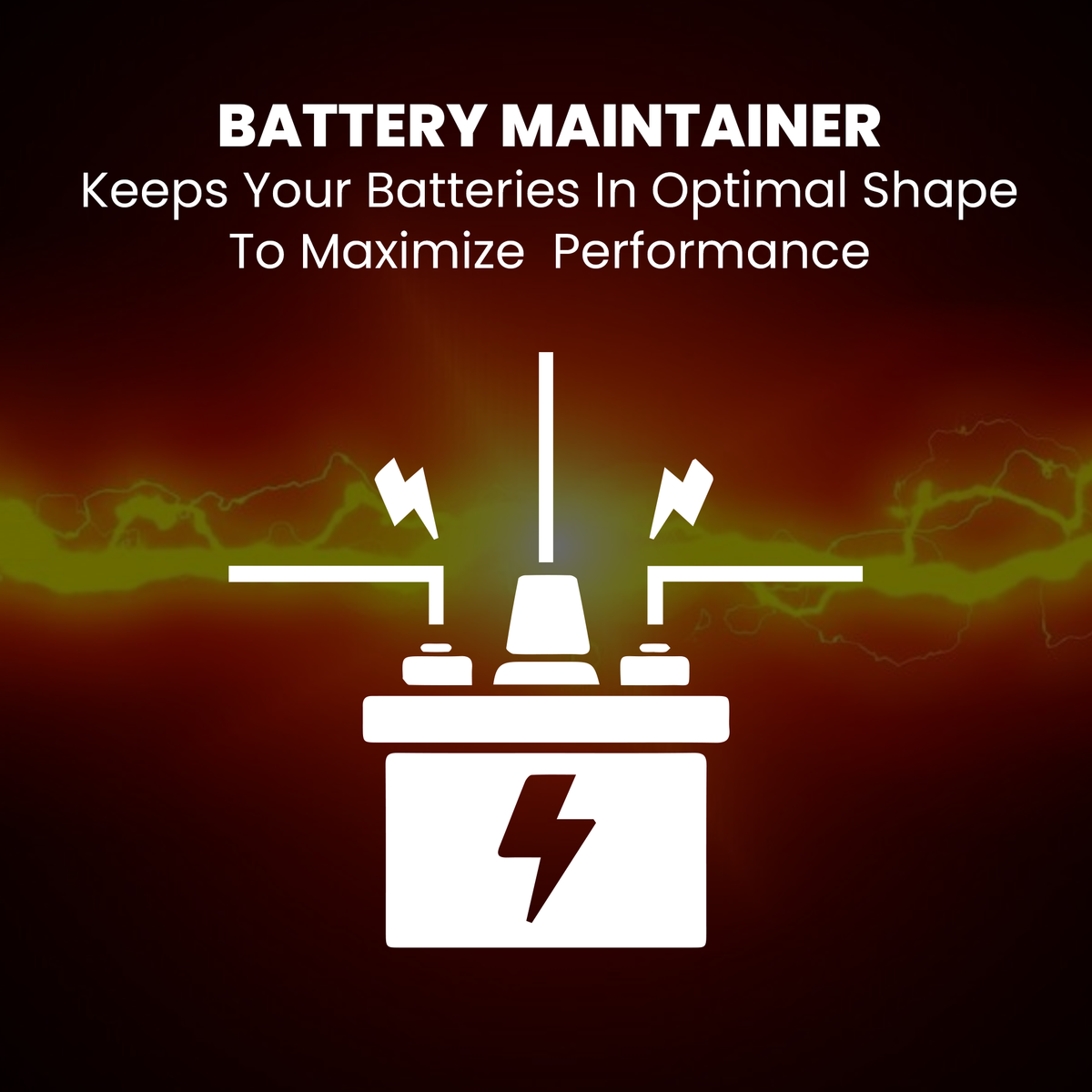 BRS Super Charger BRS612 - 6V/12V Trickle Charger - Battery Maintainer & Rejuvenator