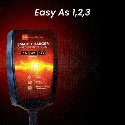 BRS Super Charger BRS612 - 6V/12V Trickle Charger - Battery Maintainer & Rejuvenator