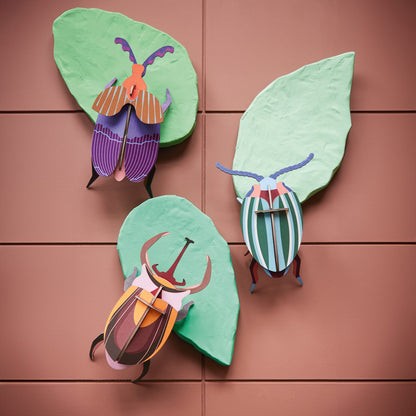 Elephant Beetle