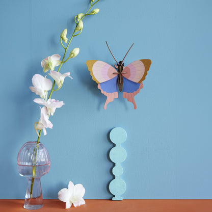 Gold Rim Butterfly