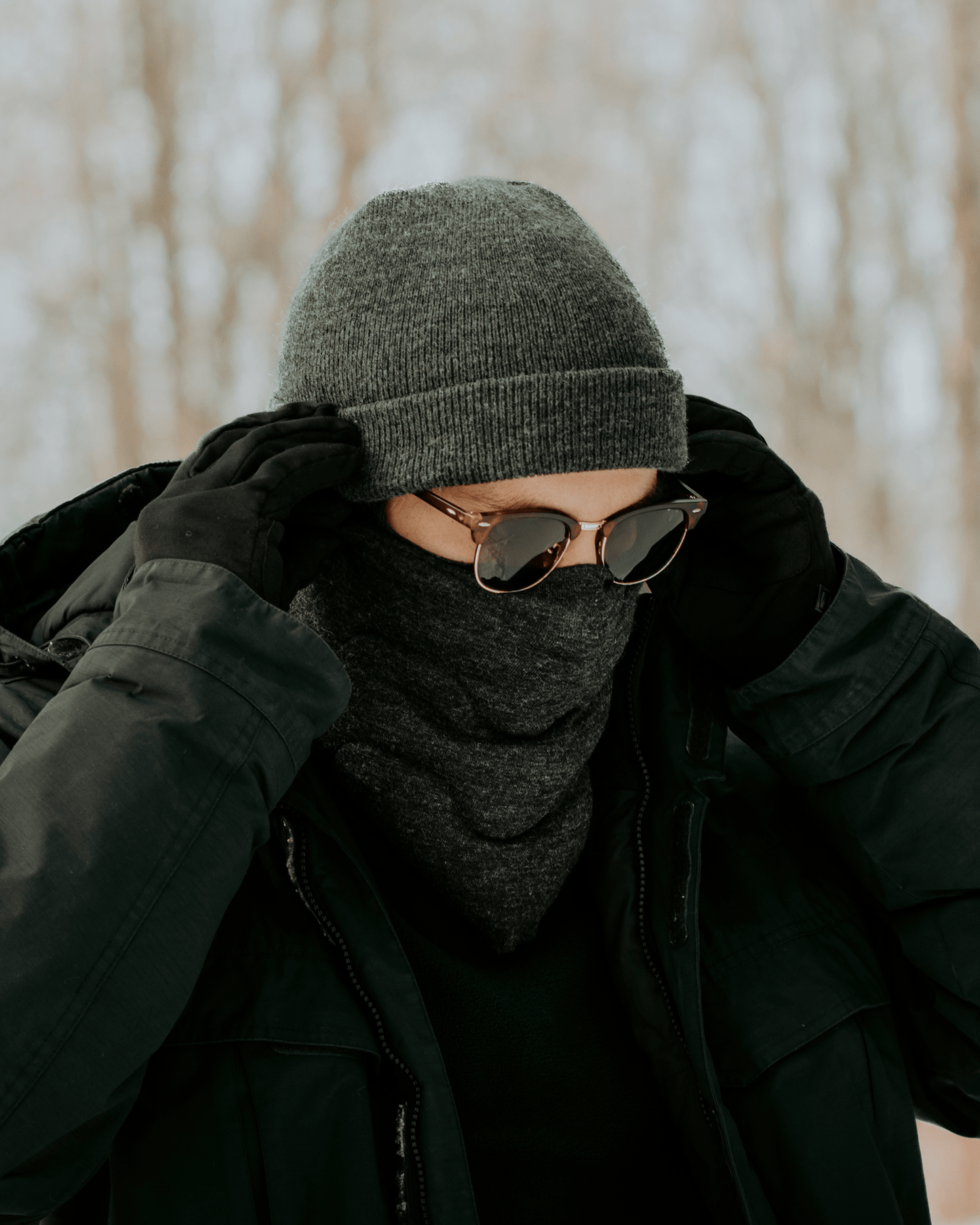 Cache-cou d'asclépiade