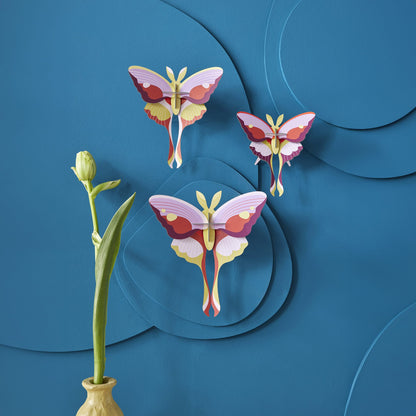 Lilac Comet Butterflies<br> Set of 3