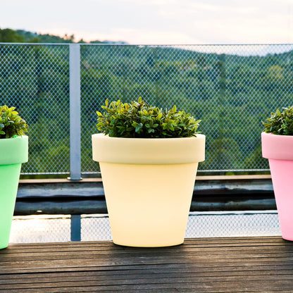 Magnolia<br> Solar & Rechargeable