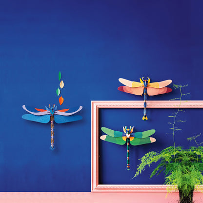 Pink Dragonfly