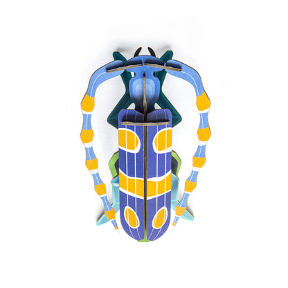 Rosalia Beetle