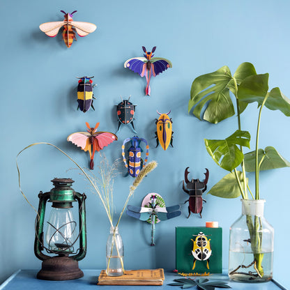 Rosalia Beetle