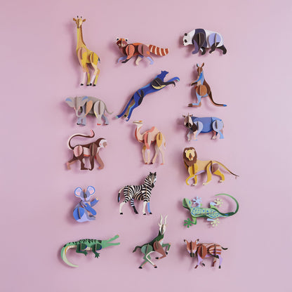 Wild Animal - Zebra