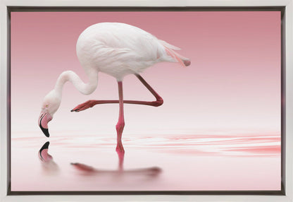 Wall art Flamingo