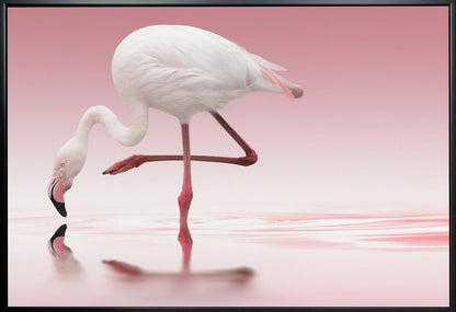 Wall art Flamingo