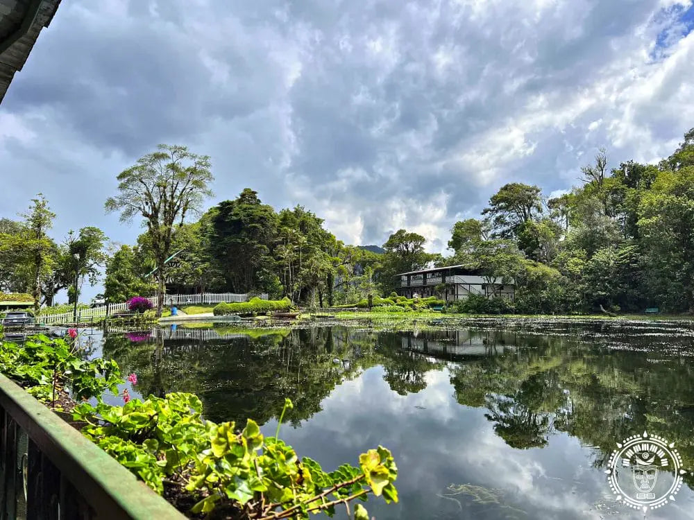 hamac chaise selva negra broderie crochet 5