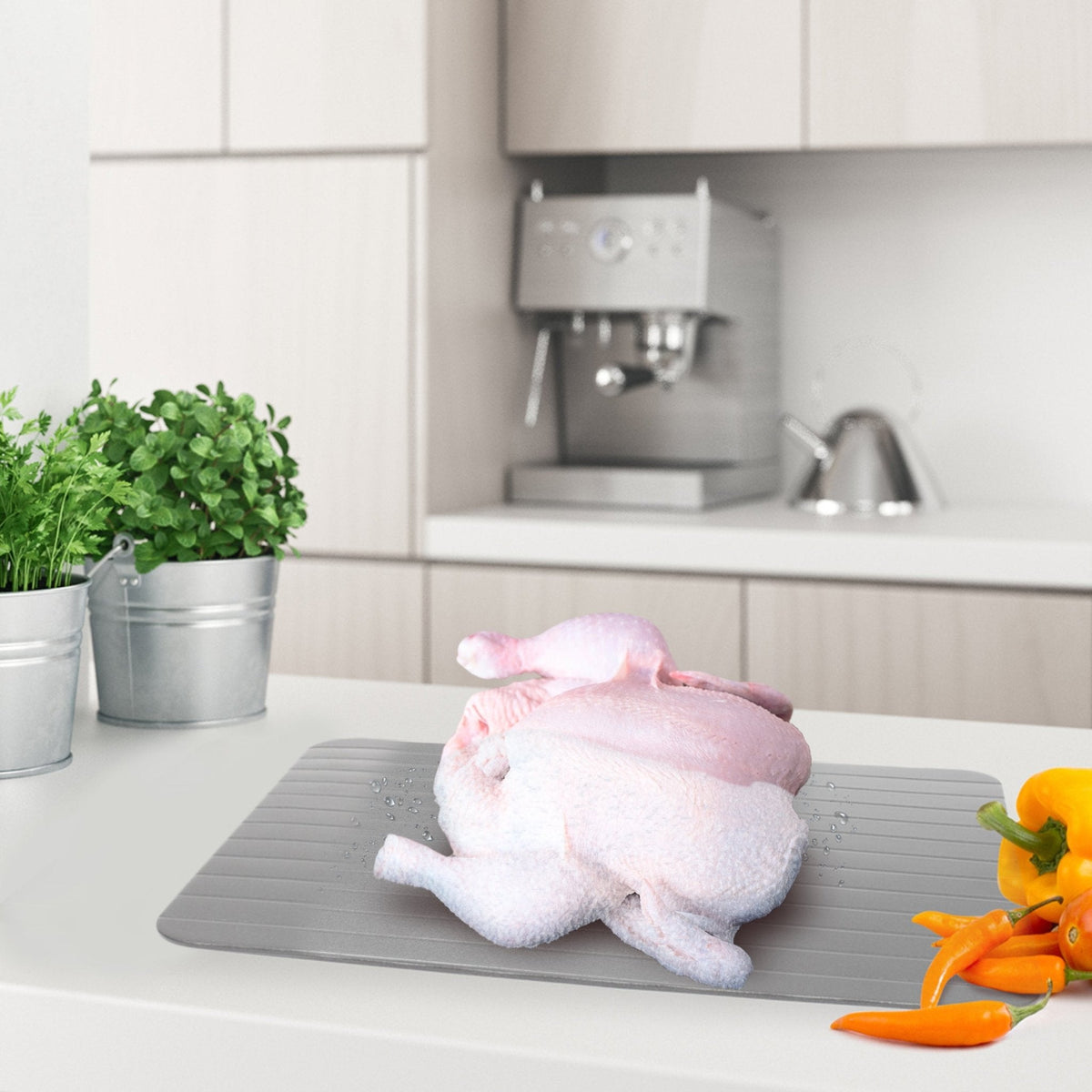 Rapid Defrosting Tray with Mess Tray