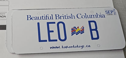 Personalized Custom License Plate for Kids Car